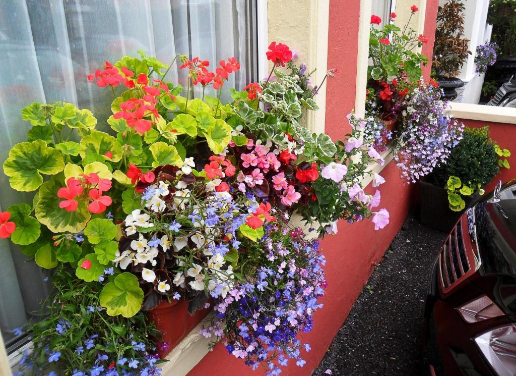 Achill House Hotel Cork Buitenkant foto